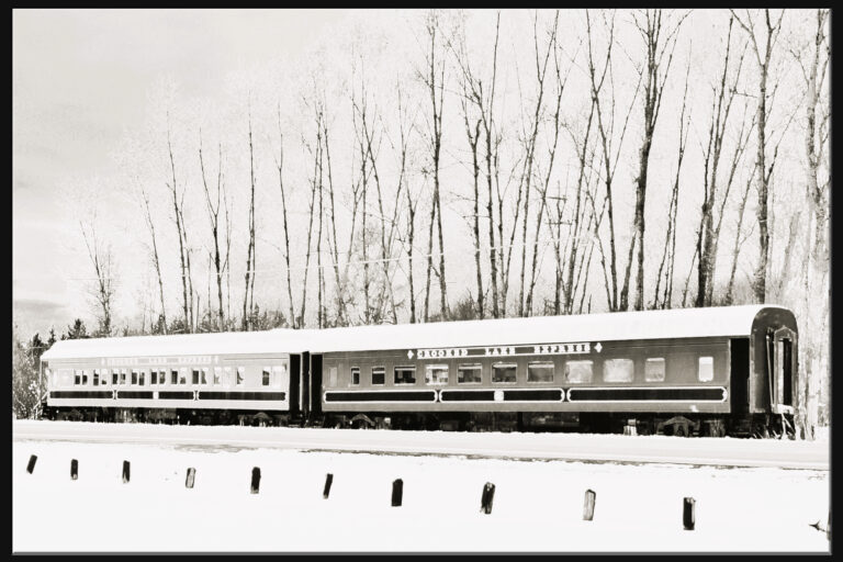 Two vintage train cars stand still on snowy tracks, with tall, leafless trees lined up in the background. The black and white photo has a nostalgic, wintry atmosphere.