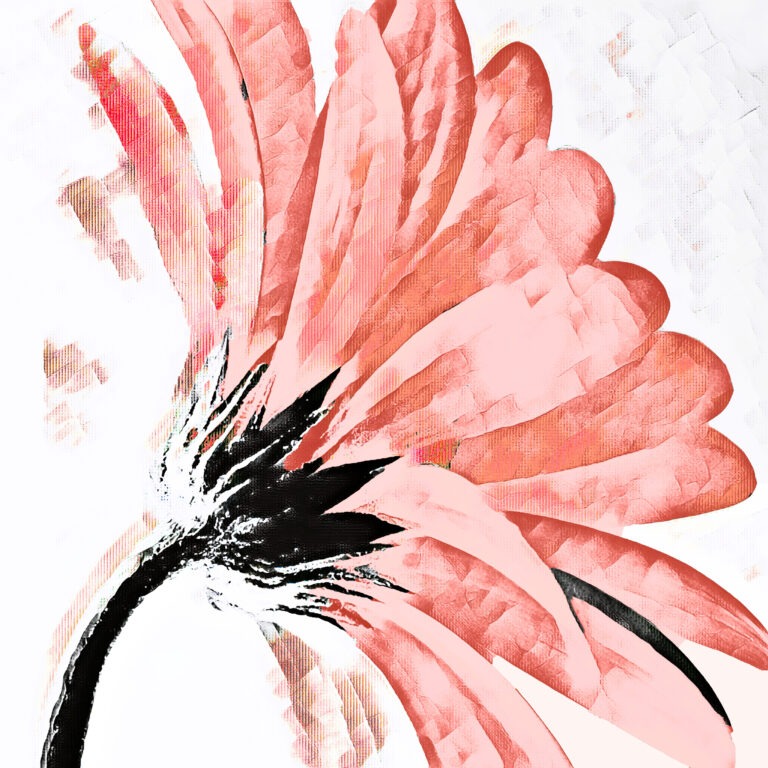 Abstract digital illustration of a pink flower with black center and stem, featuring bold brushstrokes and a textured appearance on a white background. The flower petals spread out dramatically to the right.