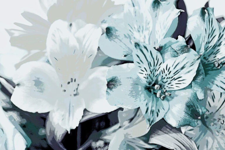 A burst of turquoise and white flowers. Free downloads.